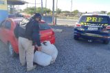 Homens são presos com 40 quilos de maconha em um carro