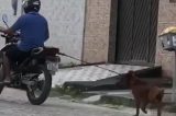 Vídeo: Homem amarra cachorro em moto e arrasta animal pela rua Vídeo: Homem amarra cachorro em moto e arrasta animal pela rua
