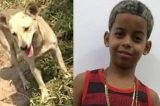 Cadela de menino que se afogou em rio encontrou o corpo, segundo familiares
