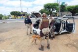 Cadela da Rondesp acha drogas em som e assento de carro