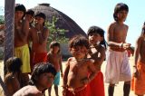 Incêndios no Pantanal obrigam remoção de populações indígenas, que ficam expostas à covid-19