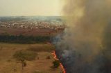 Senadores dizem que cenário é devastador após diligência no Pantanal