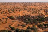 A incrível descoberta de centenas de milhões de árvores no deserto do Saara