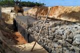 Nomeado por Salles, chefe do Ibama anula multa milionária e libera construção de hotel de luxo na BA