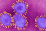 ‘Ninguém se importa’: estrangeiros ignoram risco de mutação de coronavírus no Reino Unido e viajam ao Brasil
