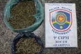 9ª CIPM conduz homem por posse de drogas em Araripina