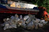 Caminhão é apreendido com 1,5 tonelada de maconha em PE