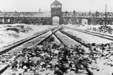 Há 76 anos, acontecia a libertação do Campo de Concentração de Auschwitz