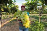 Potencial sucroenergético e viticultor do estado atrai investidor do Oriente Médio