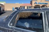 Homem tem carro invadido por 15 mil abelhas em supermercado; veja fotos