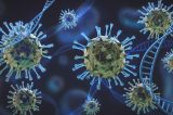 Vírus primitivo pode aumentar mortes por coronavírus em UTIs, diz Fiocruz