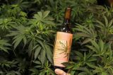 Vinhos diferentões que vão mudar o seu conceito de bebida exótica