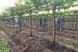 MMPE aponta Covid-19 como doença ocupacional