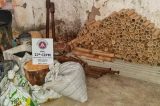 Fábrica clandestina de fogos de artifício é desmontada em Cruz das Almas
