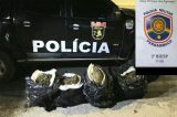 PM prende suspeito com mais de 50kg de maconha em Petrolina