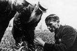 Nikolái Vavílov: o botânico soviético que queria alimentar o mundo e morreu de fome em Gulag de Stalin