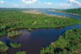 Acordo para concessão de 5 florestas no Amazonas é firmado entre governo e BNDES