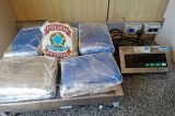 Jovem é presa no Aeroporto Internacional dos Guararapes com mais de 10 kg de maconha Jovem é presa no Aeroporto Internacional dos Guararapes com mais de 10 kg de maconha