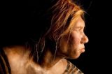 Como herança genética neandertal influencia resposta imunológica ao coronavírus