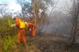 Aviões do Governo do Estado reforçam combate aos incêndios florestais na Bahia Aviões do Governo do Estado reforçam combate aos incêndios florestais na Bahia