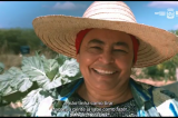 Programa de aquisição de alimentos beneficia 5 mil famílias em Uauá; veja vídeo
