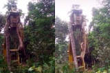 Cobra gigante assusta trabalhadores e é removida por uma escavadeira Cobra gigante assusta trabalhadores e é removida por uma escavadeira