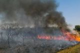 Câmara aprova regras para uso controlado do fogo em práticas agrícolas