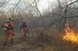 Mais de 190 bombeiros e 12 aeronaves atuam no combate aos incêndios no estado