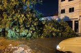 Força-tarefa da Prefeitura segue com trabalhos para amenizar efeitos do temporal em Juazeiro