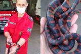 Bombeiros resgatam cobra que acordou casal ao subir em seus pés