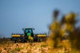 Produção de soja na Bahia deve alcançar 6,7 milhões de toneladas