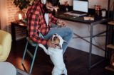 Condomínios e prédios não podem proibir presença de pets; conheça outros direitos