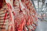 Governo Lula foi que excluiu carne da cesta básica