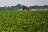 Agronegócio quer derrubar proibição do paraquate, agrotóxico que pode causar Parkinson e câncer