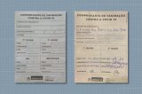 Vendedor de comprovante vacinal falso sugere para jornalista vacinação