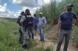 Seguranças privados destroem plantações de famílias acampadas do MST em Moreno (PE)