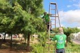 Como forma de prevenção, Prefeitura de Juazeiro intensifica poda de árvores em toda a cidade