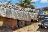 PRF apreende 18.000 kg de couro bovino, em Seabra