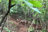 Casal sai para passear a cavalo, desaparece e é encontrado morto em mata na BA
