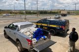 PRF apreende mais de 500 kg de droga e causa prejuízo de quase R$ 68 milhões ao crime organizado