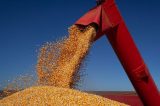Brasil só tem estoque de fertilizantes para três meses, informa associação Brasil só tem estoque de fertilizantes para três meses, informa associação