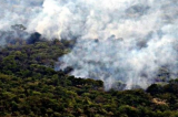 Justiça extinguiu 78% das ações movidas pelo MPF contra desmatadores
