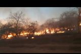 Fogo atinge caatinga no Salitre levando preocupação à moradores