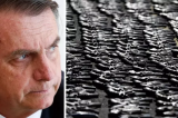 Importação de armas dispara e é a maior em 25 anos, com perspectiva de derrota de Jair Bolsonaro Importação de armas dispara e é a maior em 25 anos, com perspectiva de derrota de Jair Bolsonaro