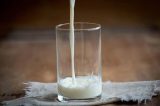 Intolerância à lactose e alergia à proteína do leite são diferentes? Entenda e saiba como conviver