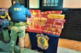 Polícia apreende 201 quilos de maconha dentro de carro na Bahia Polícia apreende 201 quilos de maconha dentro de carro na Bahia