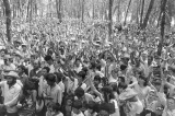 O passado comum de fundadores do MST e fazendeiros de soja do Mato Grosso