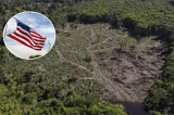EUA querem punir desmatadores da Amazônia brasileira com sanções e veto a vistos