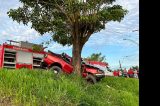 Motorista morre após colidir caminhonete em árvore no interior da Bahia e acidente é filmado; assista