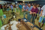 Com ações assertivas, gestão Suzana Ramos fomenta o desenvolvimento econômico e agropecuário de Juazeiro